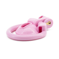 The Locked Sissy Kit