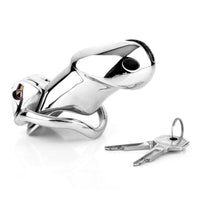 Mistress's Chastity Constant Steel Cage Reminder