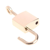 Premium Polished Finish Chastity Padlock