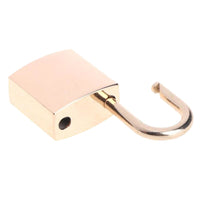 Premium Polished Finish Chastity Padlock