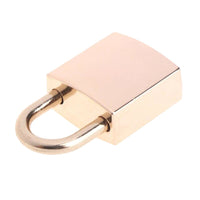 Premium Polished Finish Chastity Padlock