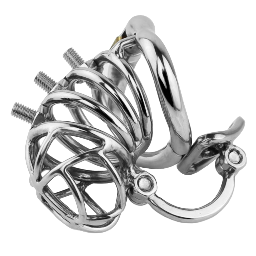 Lock The Cock Metal Male Chastity Cage With Hinged Ring For Beginners