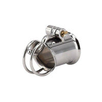 Prince Albert Piercing Chastity Cage