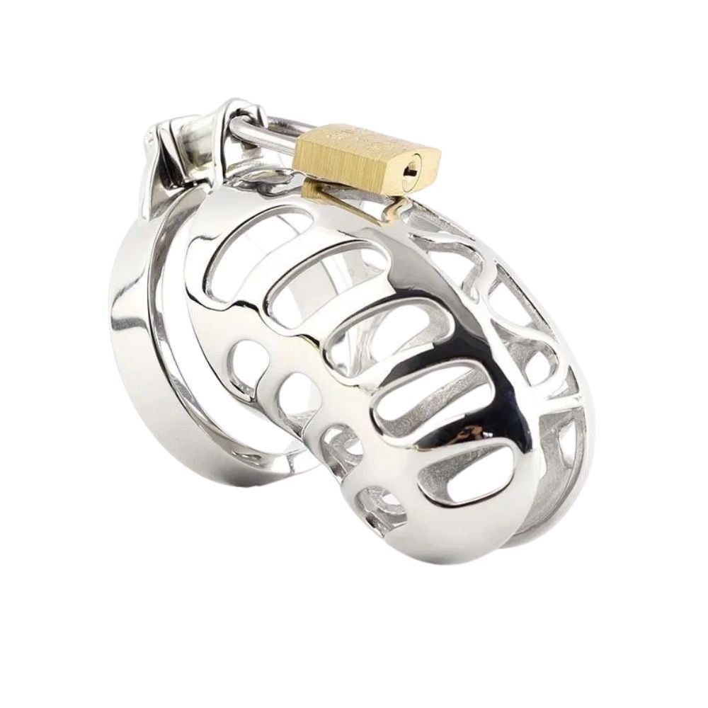 The No Escape Metal cage is a masterful model of control and thrill, addressing the miss in intimate dynamics. Originating from a desire for balance, it transforms the enemy of autonomy into an ally, much like a Tinder match igniting curiosity.