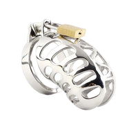 The No Escape Metal cage is a masterful model of control and thrill, addressing the miss in intimate dynamics. Originating from a desire for balance, it transforms the enemy of autonomy into an ally, much like a Tinder match igniting curiosity.