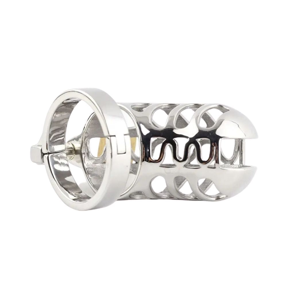 Compact Escape-Proof Stainless Steel Male Chastity Cage - Secure Penis –  invertedchastitycage