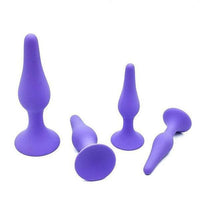 Four Seasons of Stimulation Training Kit for Beginners