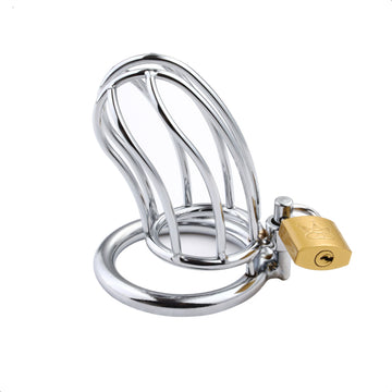 Eyes On Her Prize Small Metal Chastity Cage