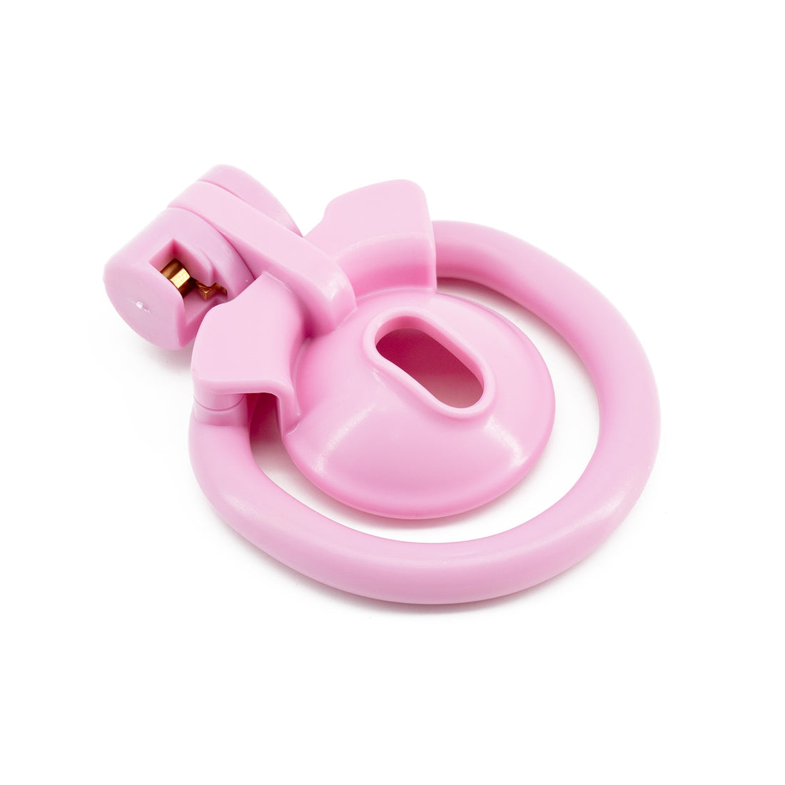 The Locked Sissy Kit