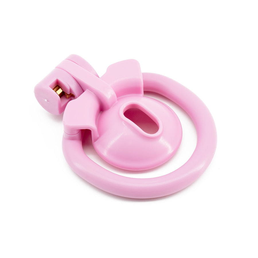 The Locked Sissy Kit