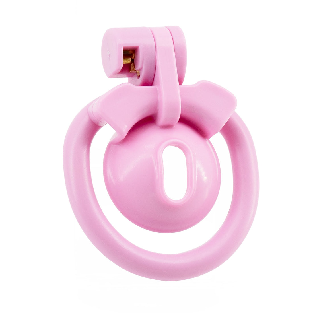 The Locked Sissy Kit