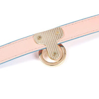 Mischievous Rainbow and Gold Leather Collar With Leash