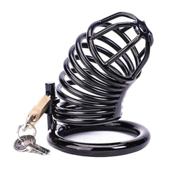 Tame your madly growing desires with this stainless steel device. Made of durable metal, it's perfect for satisfying your lover while keeping things hygienic. Ideal for exploring dirty and humiliating fantasies.